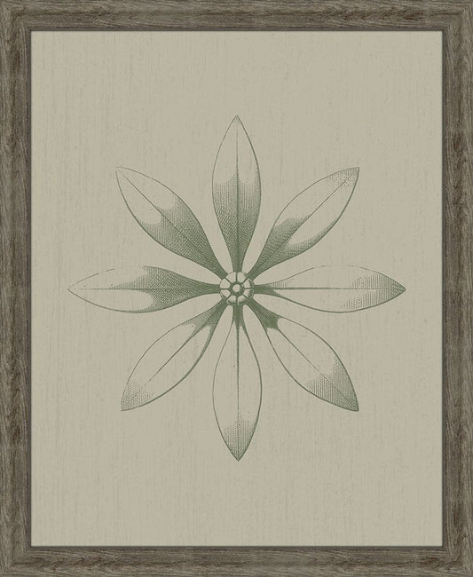 PETITE FEUILLE III