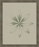 PETITE FEUILLE III