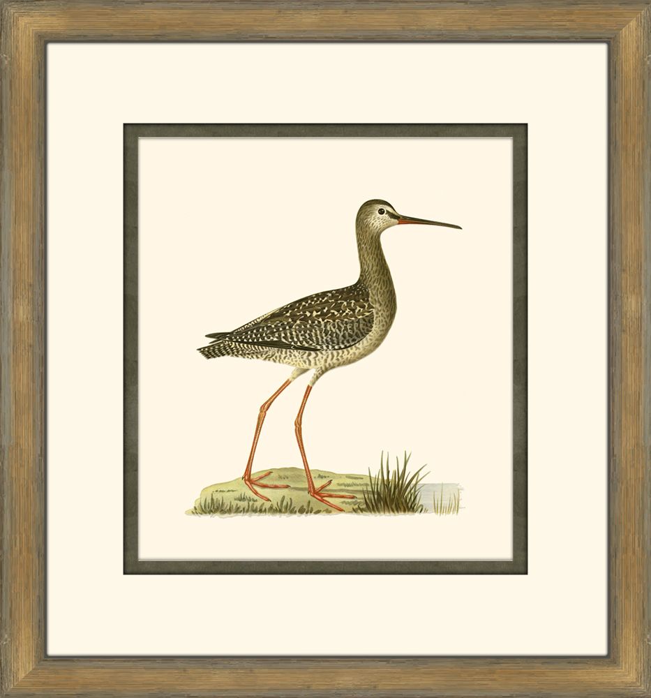 Shore Birds III