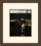 GET YOUR GOAT II