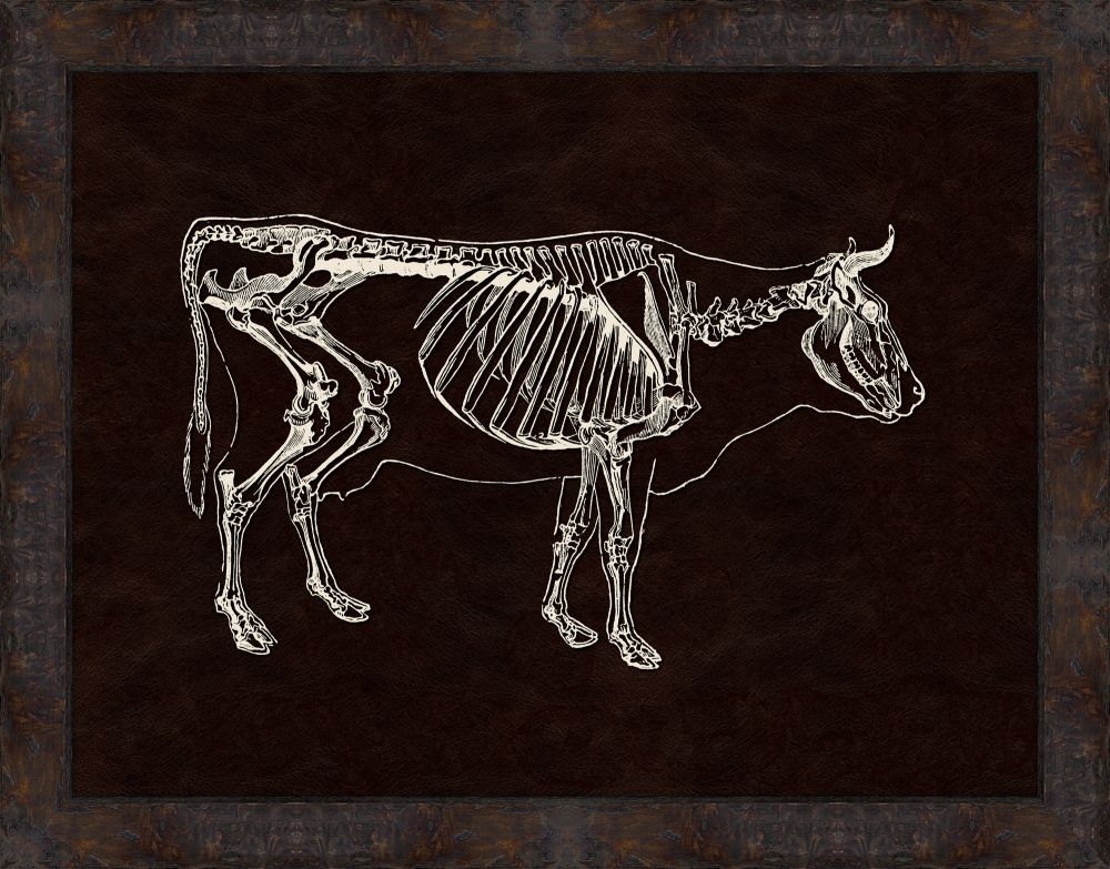 Skeleton