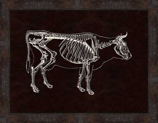 Skeleton