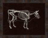 Skeleton