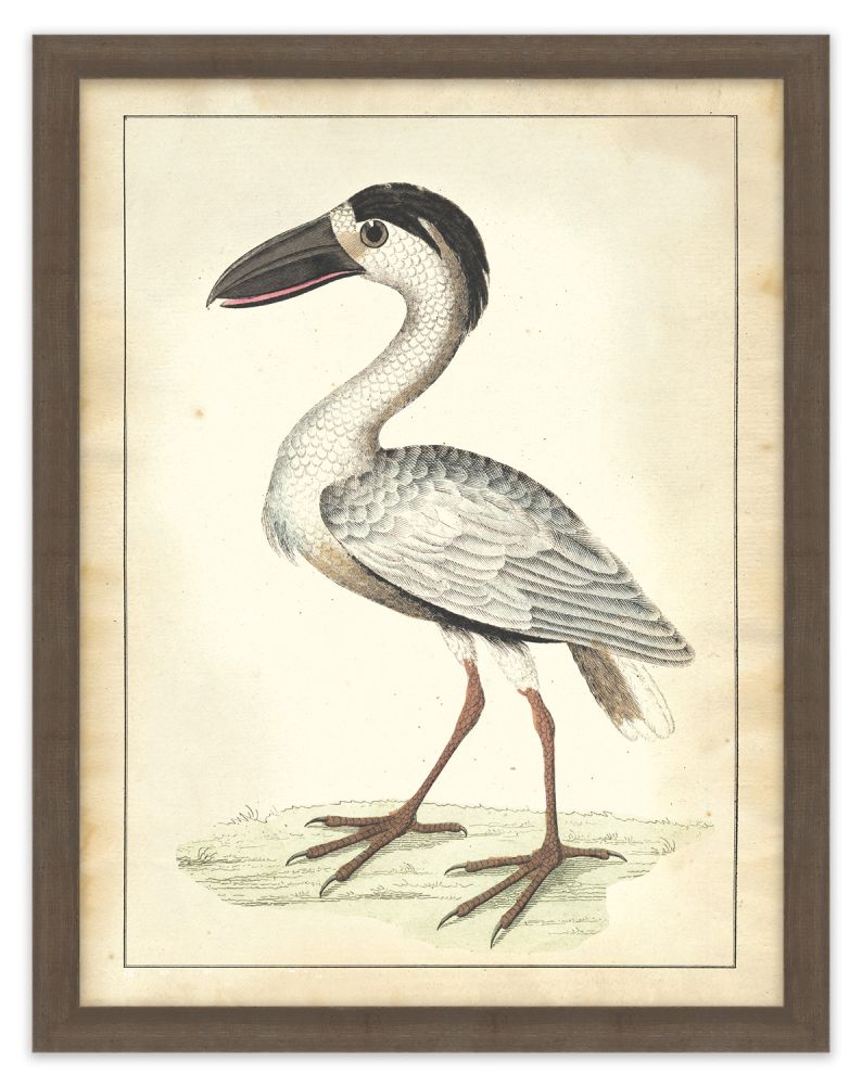 Vogel Aviary II
