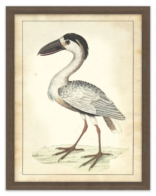 Vogel Aviary II