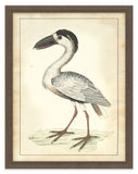 Vogel Aviary II