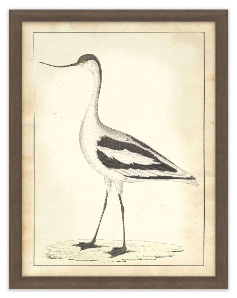 Vogel Aviary III