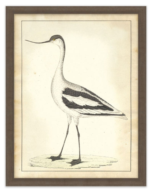 Vogel Aviary III