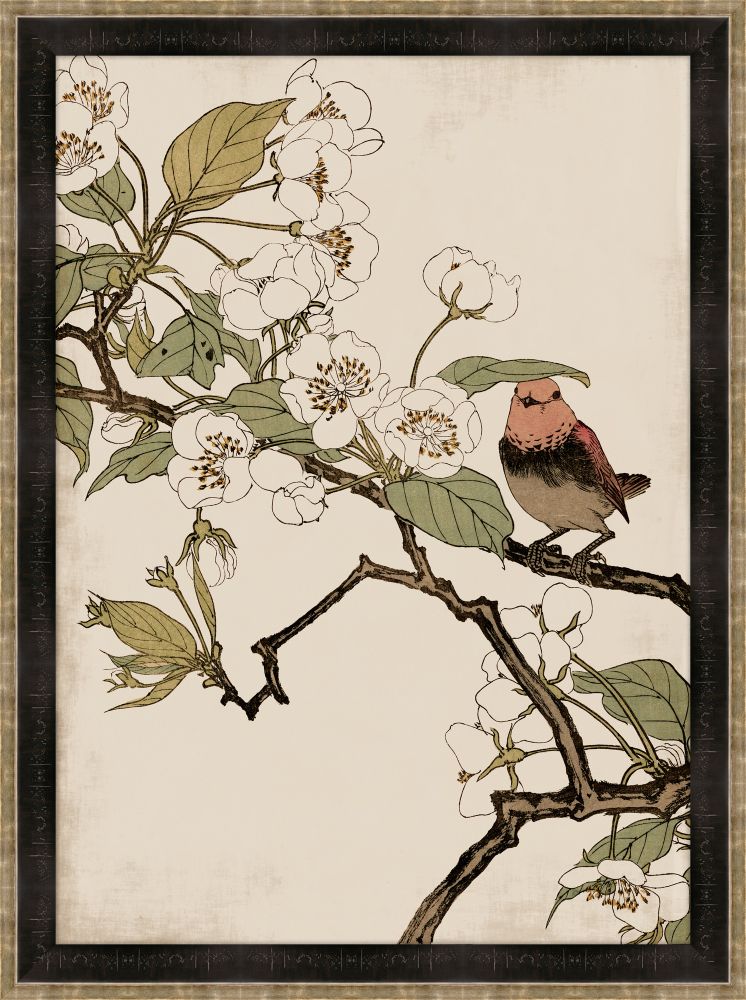 Red Robin and Peach Blossoms
