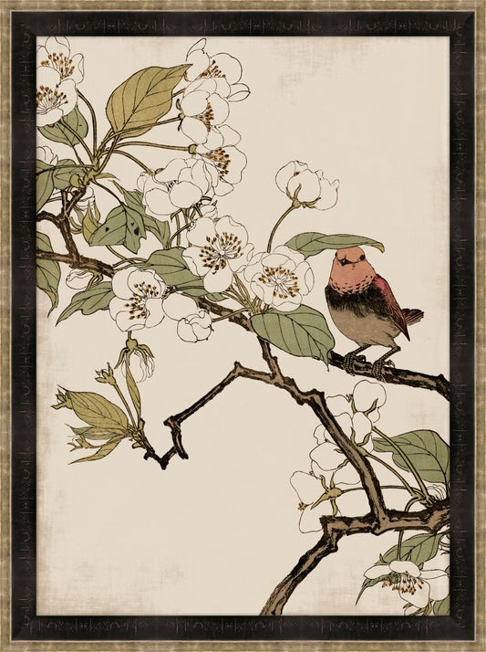 Red Robin and Peach Blossoms