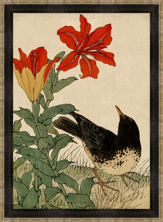 Asian Aviary I