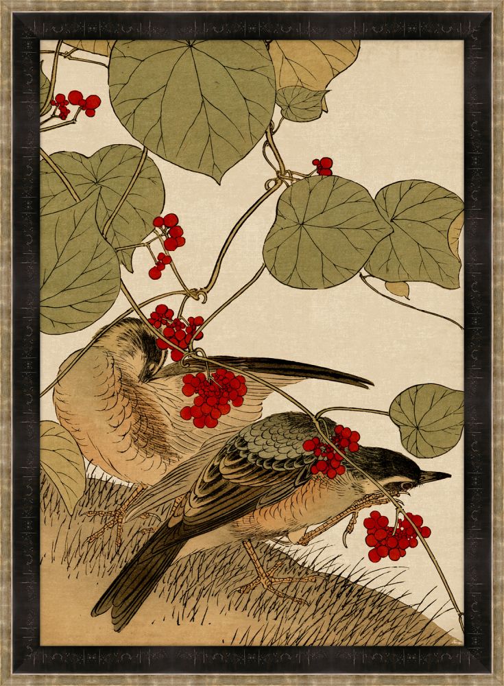 Asian Aviary II