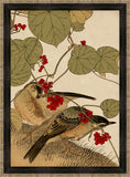 Asian Aviary II