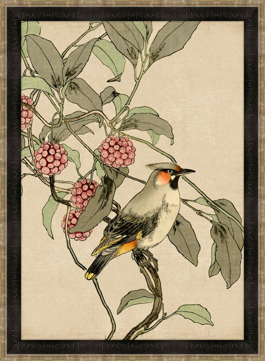 Asian Aviary III