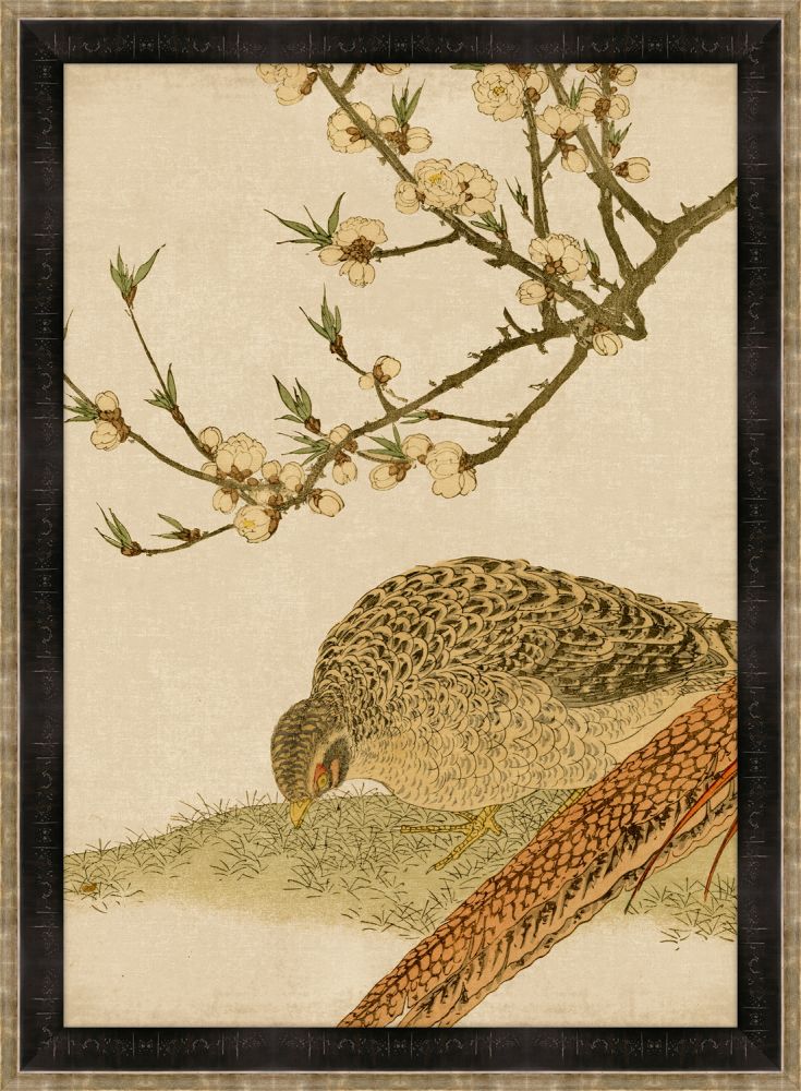 Asian Aviary VII