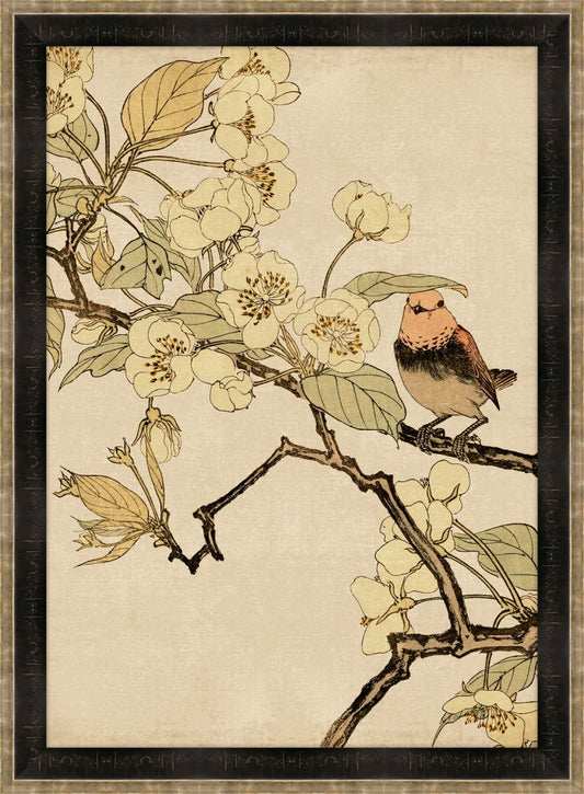 Asian Aviary VIII
