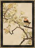 Asian Aviary VIII