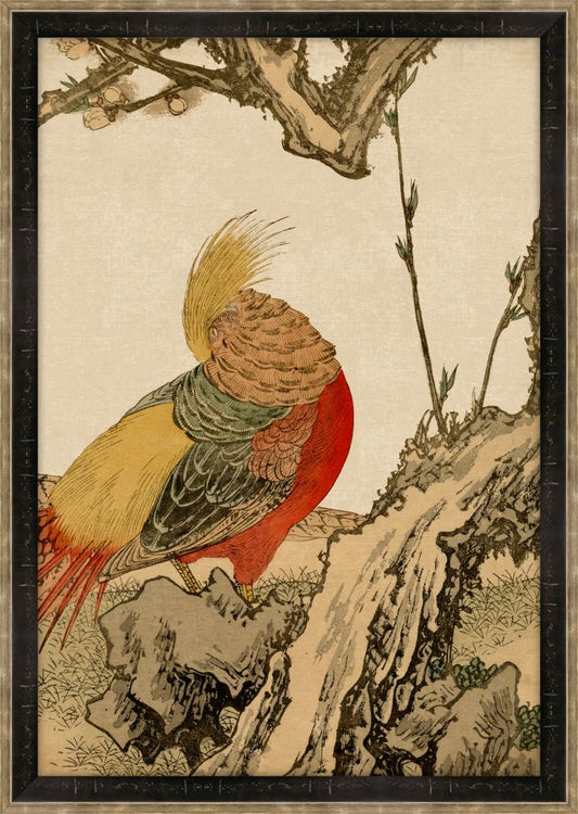 Asian Aviary Petite IV