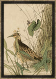 Asian Aviary Petite V
