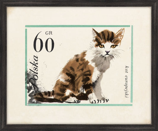 Polska Kitty I