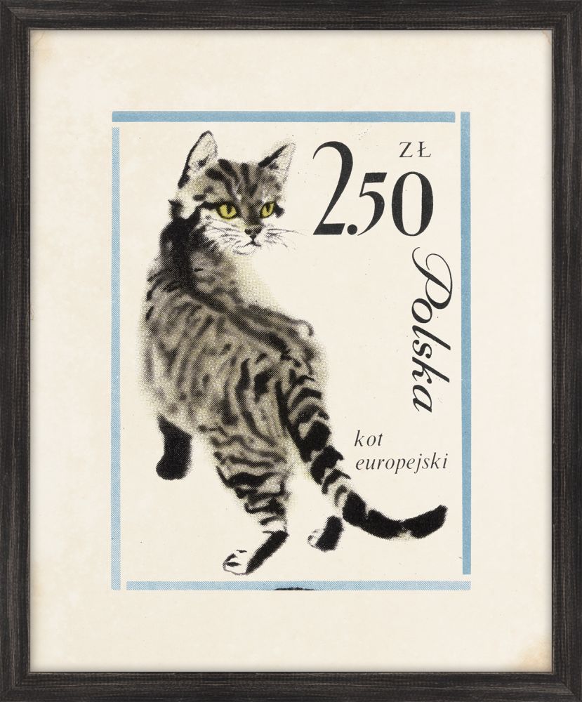 Polska Kitty II