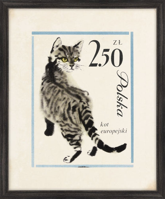 Polska Kitty II