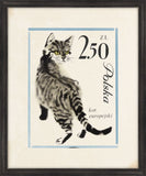 Polska Kitty II