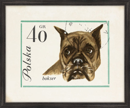 Polska Pup IV
