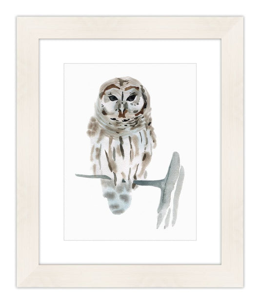 Watercolor Owl