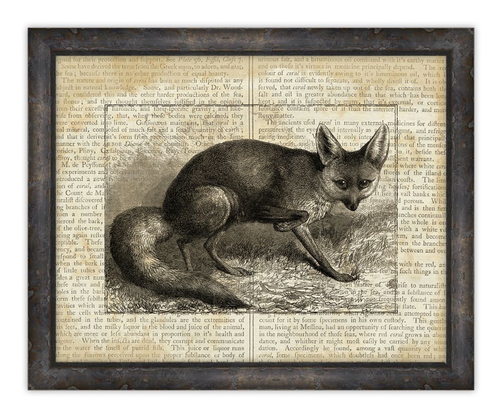 Fox on Writing