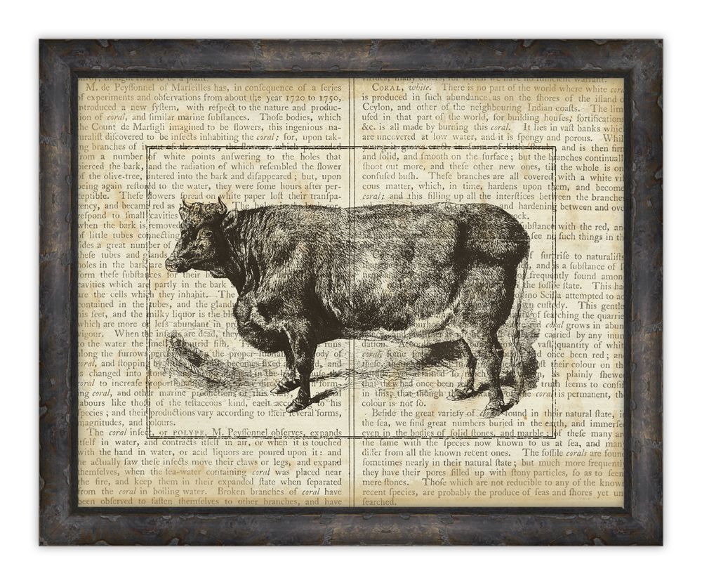 Cows on Writing I