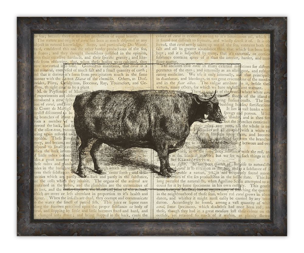 Cows on Writing II