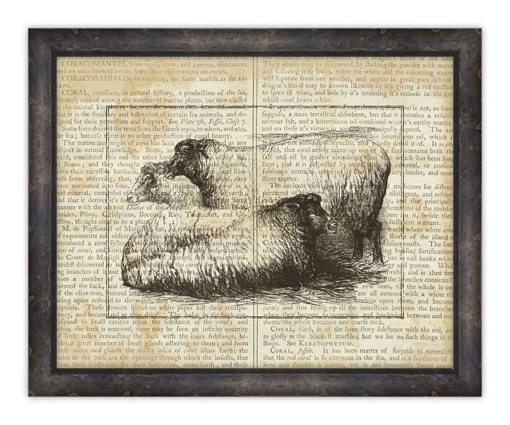 Sheep on Writing