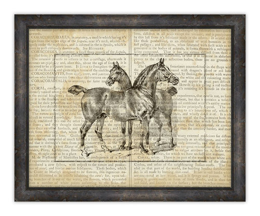 Horse on Writing