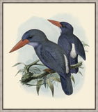 King Fisher - Blue