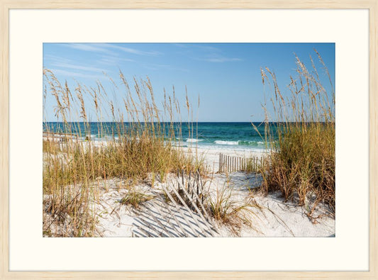 Beach Fences I