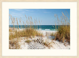 Beach Fences I