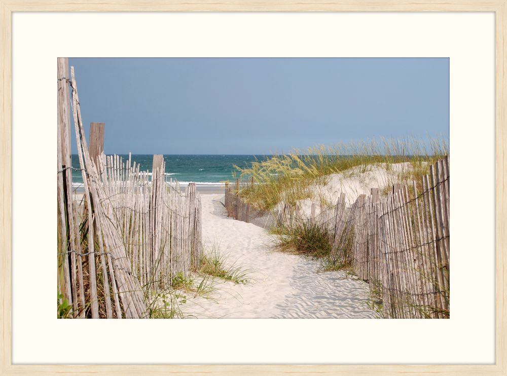 Beach Fences II