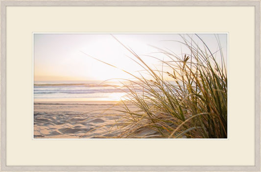 Beach Grass at Sunrise