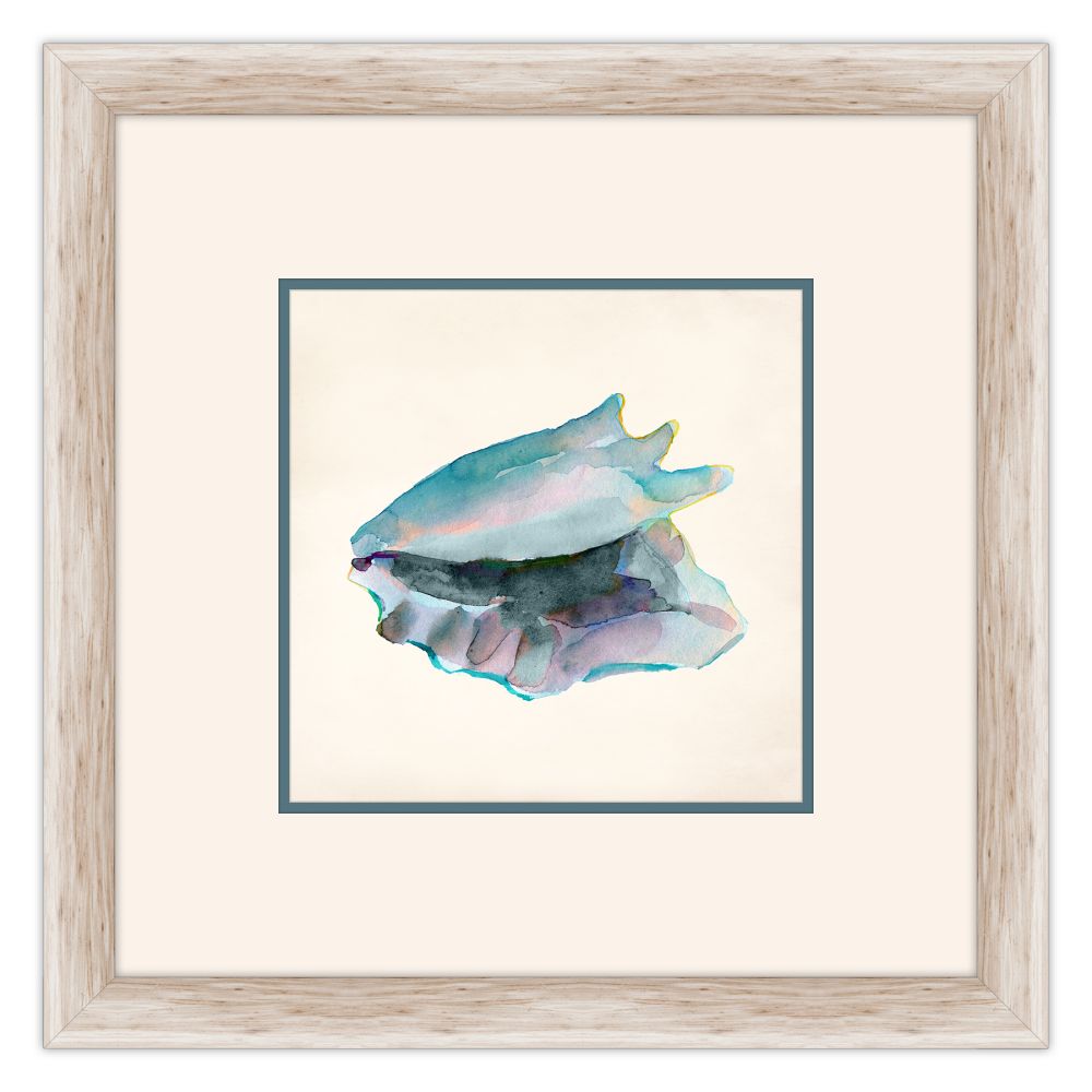 Aqua Shells I