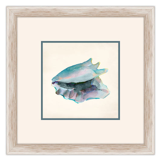 Aqua Shells I
