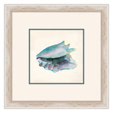 Aqua Shells I