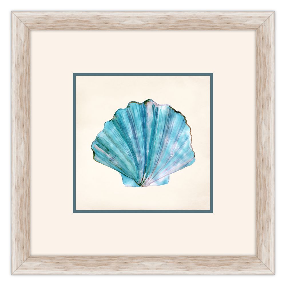 Aqua Shells II