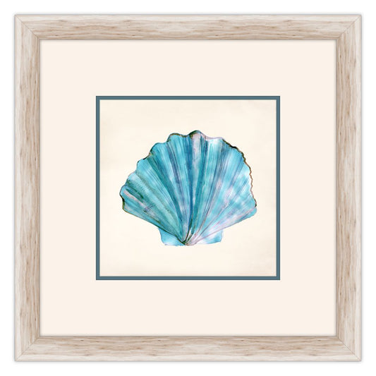 Aqua Shells II