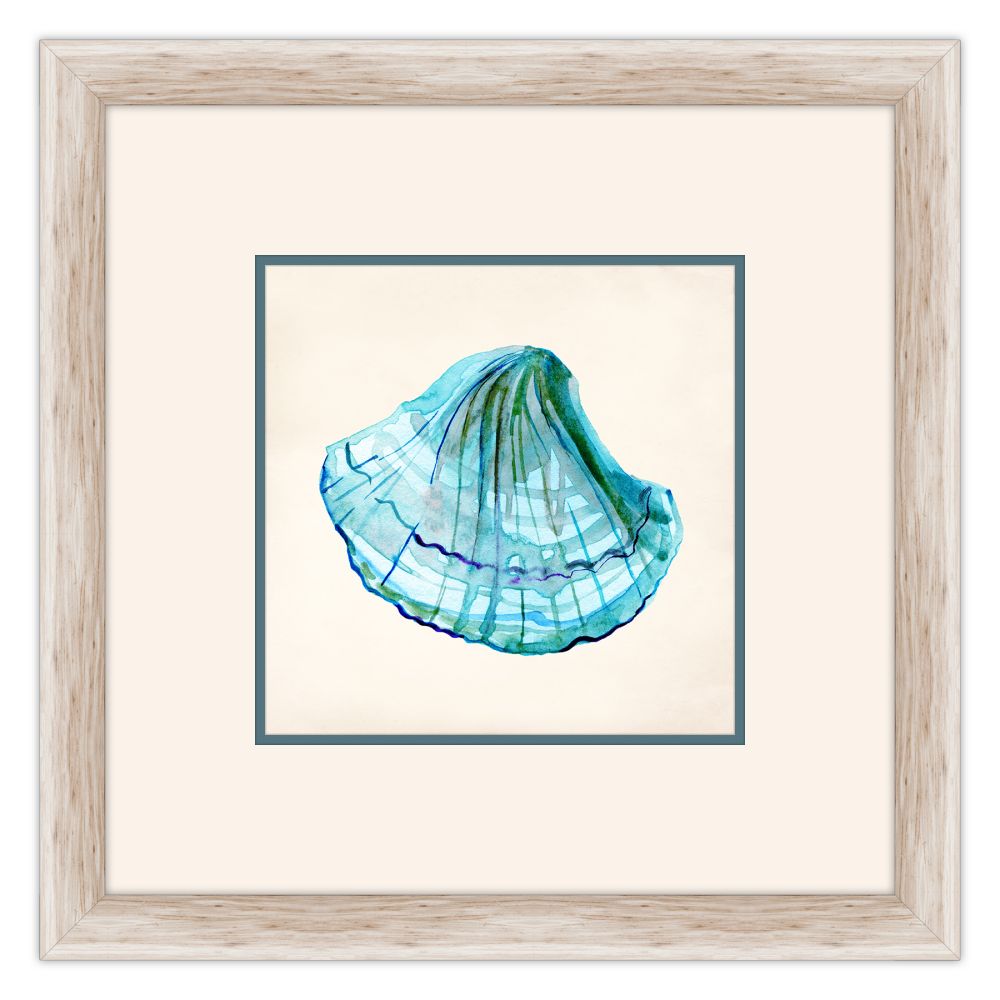 Aqua Shells III