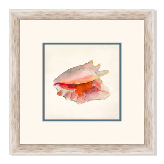 Rouge Shells I