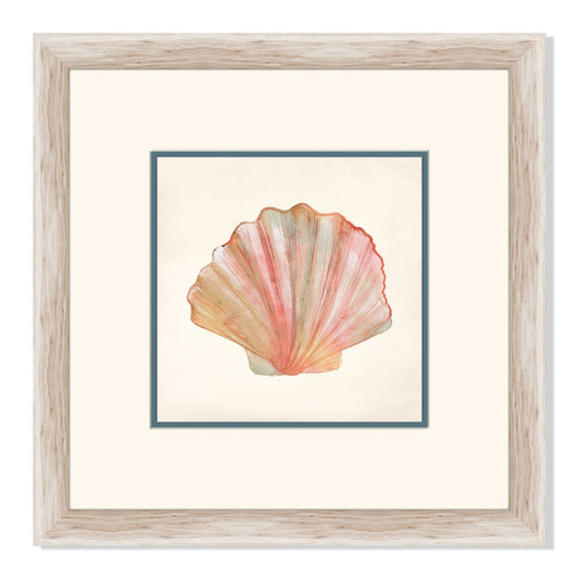 Rouge Shells II