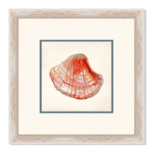 Rouge Shells III