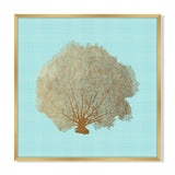 Sea Fan I