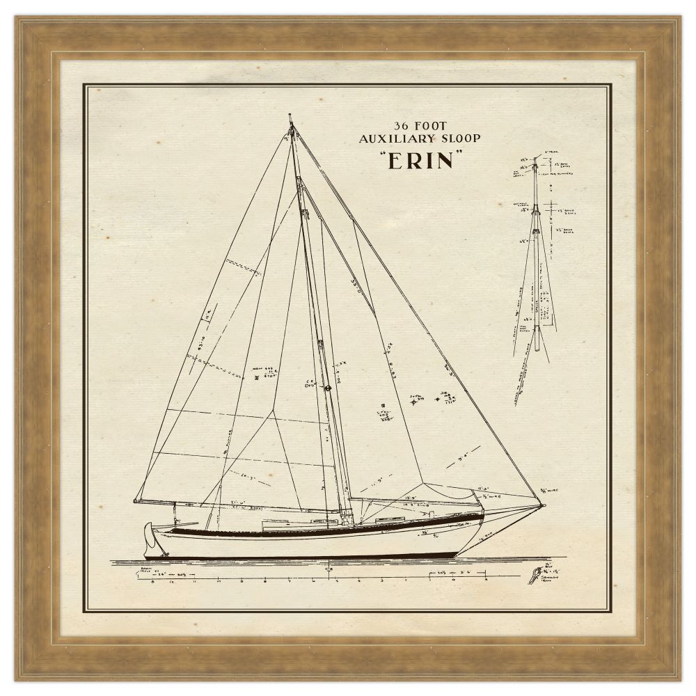 Erin II